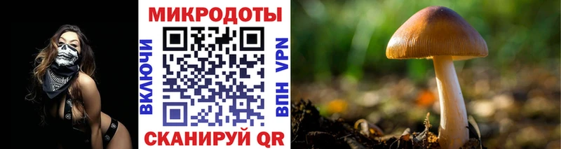 блэк спрут   Ачинск  Псилоцибиновые грибы Cubensis 