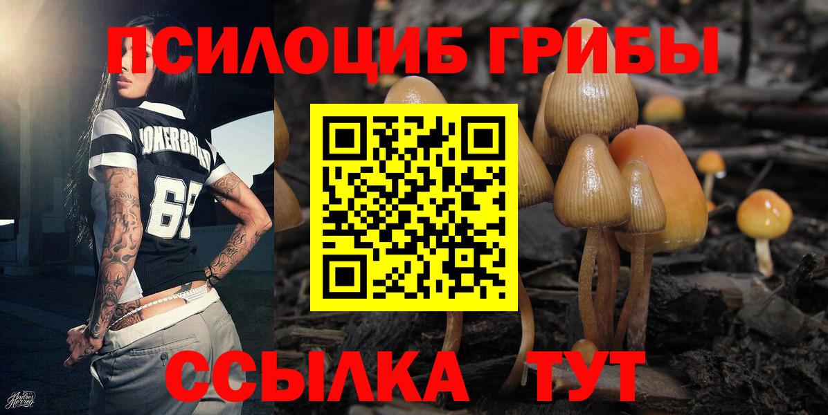 Ачинск  Псилоцибиновые грибы GOLDEN TEACHER  Вход с VPN 