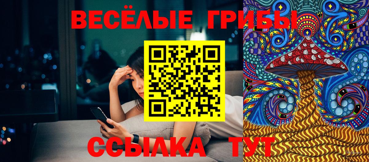 Галлюциногенные грибы прущие грибы Ачинск
